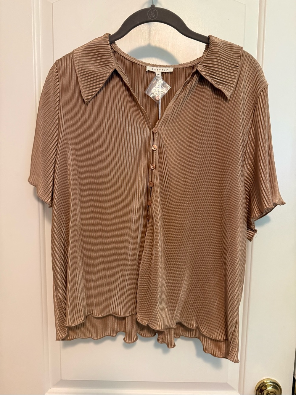 Baevely Pleated Tan Short-Sleeve Button Front Blouse